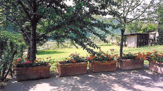 Holiday home in Lamole in Chianti